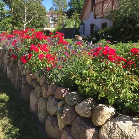 Oewern Diek App 30 Wustrow (Fischland)