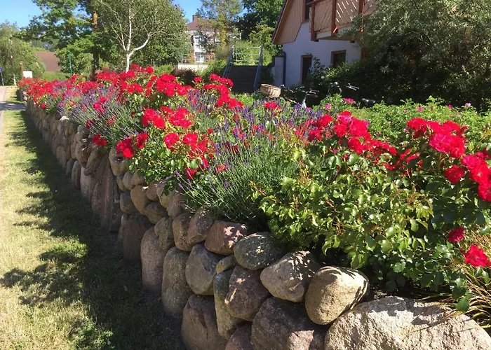 Oewern Diek App 30 Wustrow (Fischland)